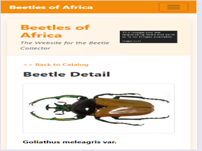 TEST beetles 143